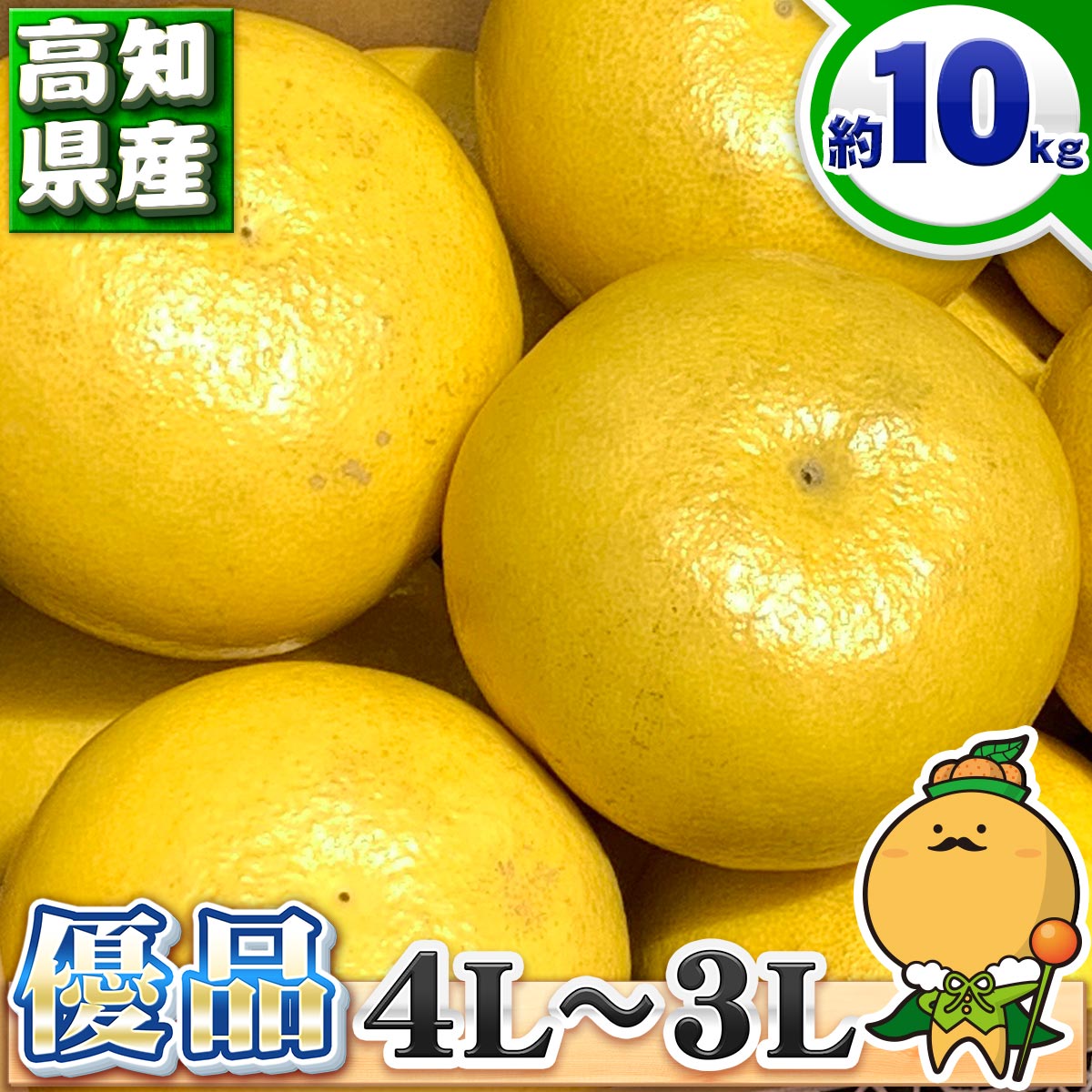 【贈答用　優品】 高知県産 綺麗な優品 土佐文旦 大玉 4L〜3L 約 10kg 【 送料無料 ※北海道・沖縄県は除く】 すくも とさぶんたん 贈答 優品 箱買い 10キロのサムネイル