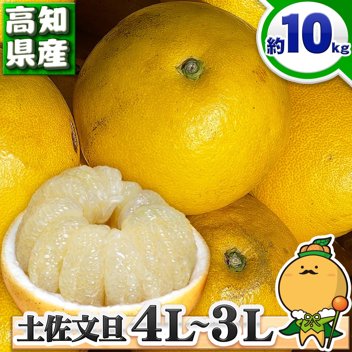 【大迫力のBIGサイズ】 高知県産 訳あり 土佐文旦 大玉 3L 約 10kg 【 送料無料 ※北海道・沖縄県は除く】 大きいサイズの 文旦 本場 本場 すくも とさぶんたん 家庭用 自宅用 箱買い 10キロのサムネイル