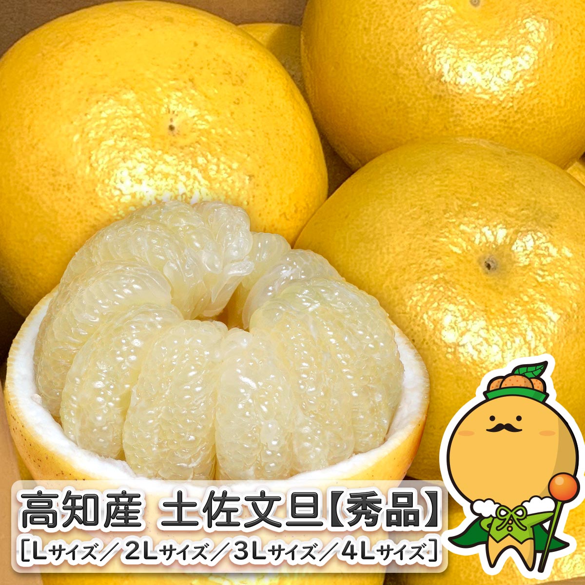 ��£��ʪ�˺�Ŭ�۹��θ��� �ں�ʸö £���� ���� 10kg ���٤륵���� L ��4L ������������̵�������츩��Υ��Ͻ�����