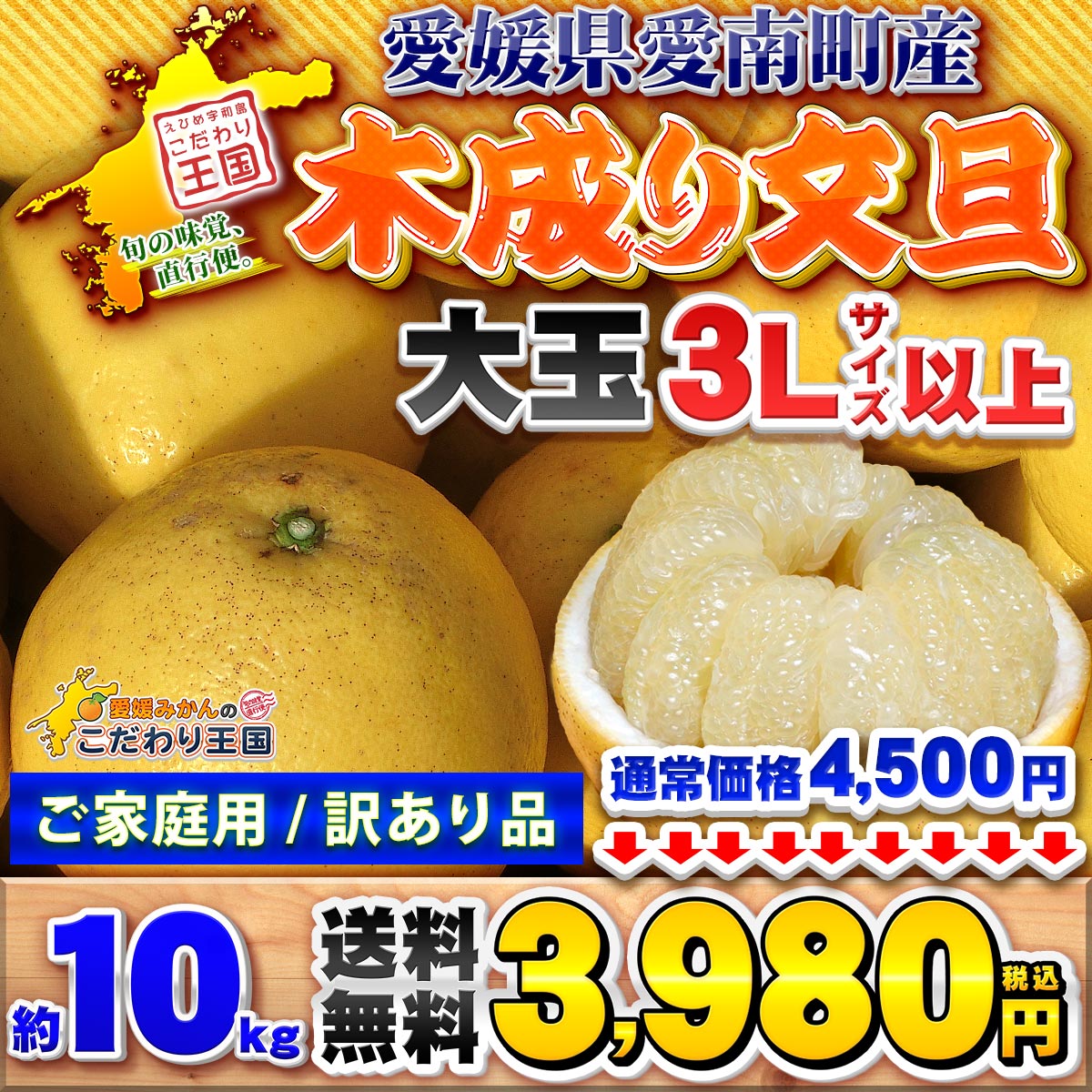 愛媛県 愛南町産 木成り 土佐文旦 10kg 家庭用 訳あり きなり で熟した とさぶんたん 自宅用 10キロ 箱買い（3枚目）