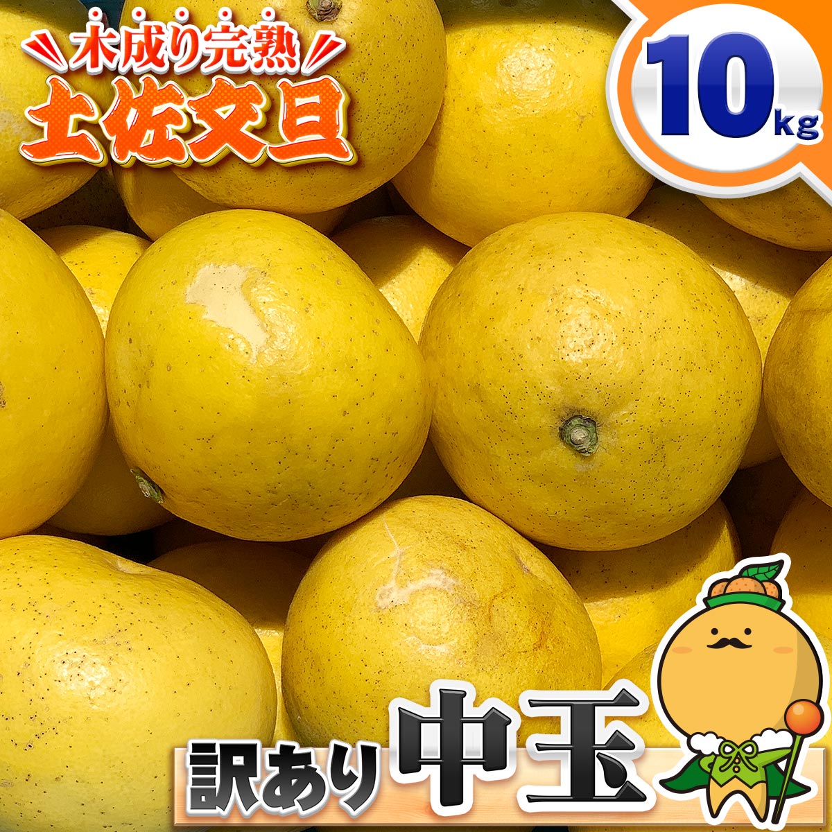＼訳あり中玉サイズ／ 愛媛県 愛南町産 木成り 土佐文旦 中玉 M〜2Lサイズ 10kg 家庭用 訳あり 【送料無料※北海道・沖縄県は除く】 きなり で熟した とさぶんたん 自宅用 10キロ 箱買いのサムネイル