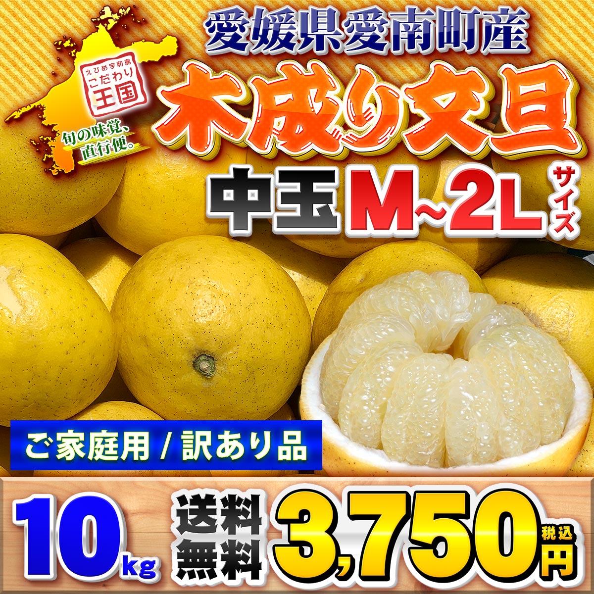 愛媛県 愛南町産 木成り 土佐文旦 10kg 家庭用 訳あり きなり で熟した とさぶんたん 自宅用 10キロ 箱買い（2枚目）