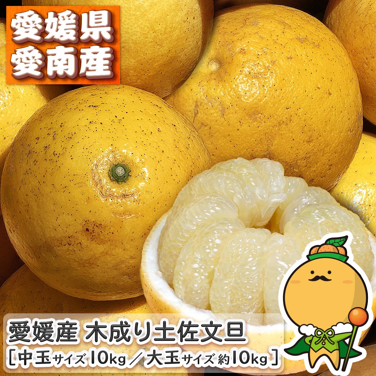 ＼木成り完熟／ 愛媛県 愛南町産 木成り 土佐文旦 10kg 家庭用 訳あり 【送料無料※北海道・沖縄県は除く】 きなり で熟した とさぶんたん 自宅用 10キロ 箱買い