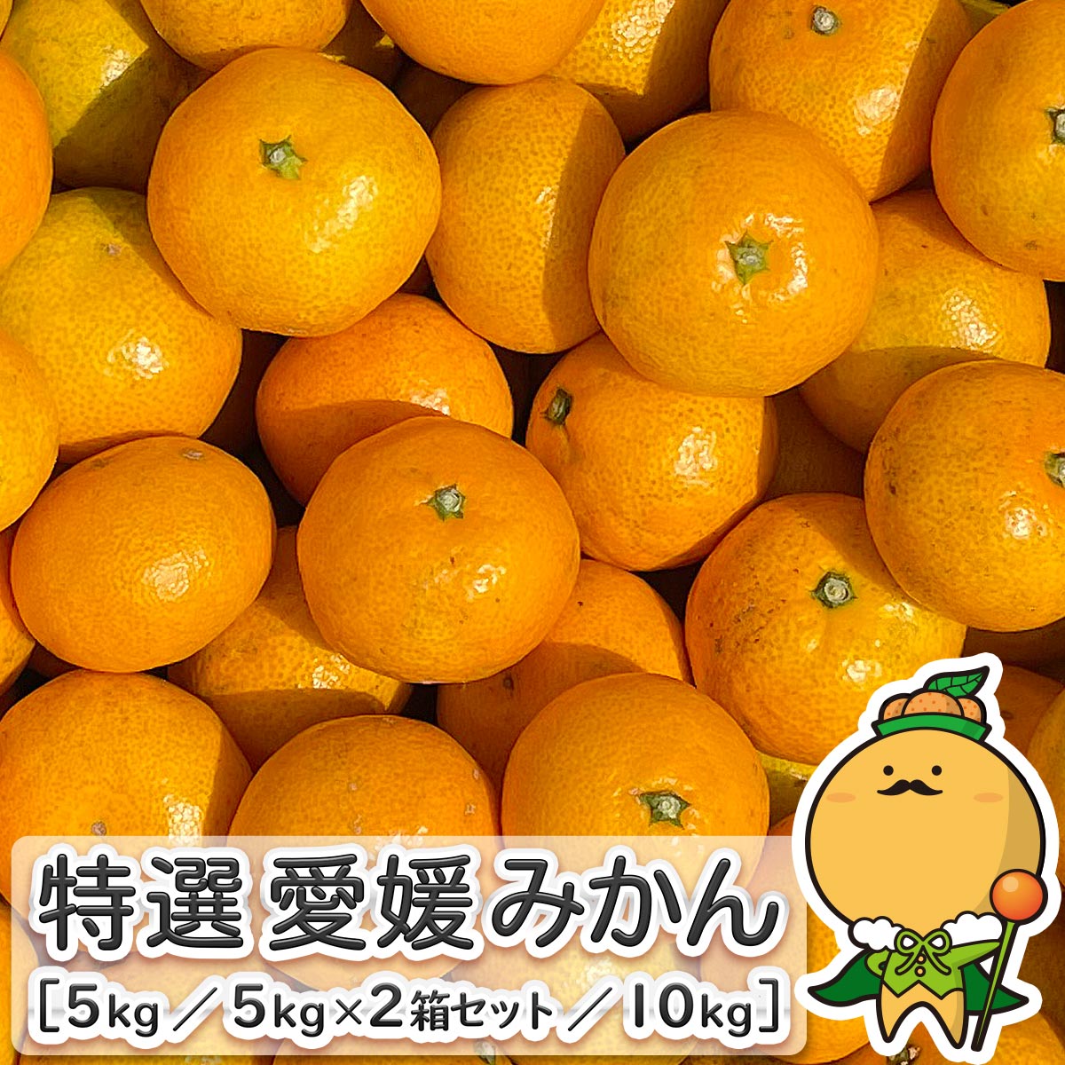 みかん王国愛媛のはるかS～3L約10Kg×2箱 楽天市場】愛媛 柑橘