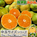 愛媛県産 極早生 みかん 中玉サイズ ご家庭用 訳あり うわじま 自宅用 箱買い 愛媛みかん レギュラーサイズ 温州 蜜柑