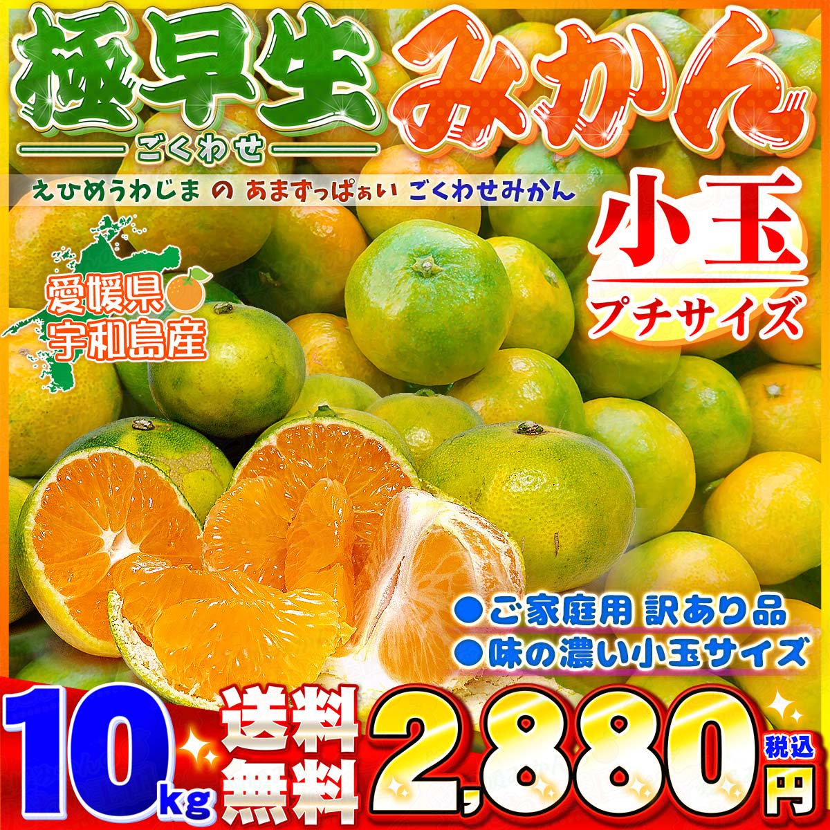 愛媛県産 極早生 小玉 みかん 10kg ご家庭用 訳あり プチ みかん 2S 〜 3S 自宅用 箱買い 愛媛みかん こたつ 小粒 蜜柑 こだわり王国