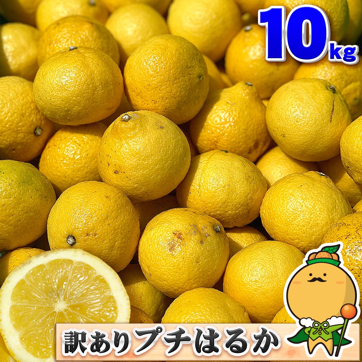 愛媛県 宇和島産 プチ はるか 10kg 小玉サイズ 家庭用 自宅用 訳あり 箱買い 10キロのサムネイル
