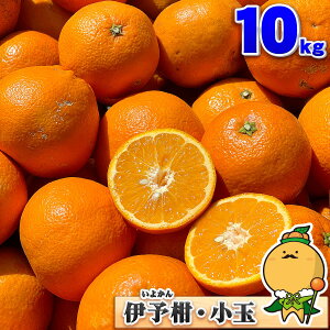 【甘味と酸味！味の濃い小玉】愛媛県産 訳あり 小玉 伊予柑 いよかん 10kg 自宅用 家庭用 箱買い 10キロ