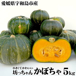 愛媛県産 坊っちゃんかぼちゃ 5kg サイズおまかせ