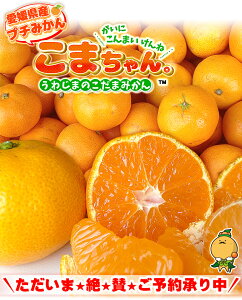 \グルメ大賞2019受賞/愛媛県産 小玉みかん こまちゃん 5kg ご家庭用 訳あり 早生みかん 南柑20号 送料無料 味濃い プチ みかん 2S 〜 3S サイズ 5キロ 自宅用 箱 買い 【smtb-KD】愛媛みかん こたつ 小粒 温州 中生 晩生 極 熟 甘い えひめ 蜜柑 こだわり王国