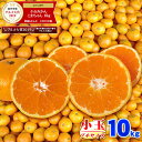 \グルメ大賞2019受賞/愛媛県産 小玉みかん こまちゃん 10kg ご家庭用 訳あり 早生みかん 南柑20号 送料無料 味濃い プチ みかん 2S 〜 3S サイズ 10キロ 自宅用 箱 買い 【smtb-KD】 愛媛みかん こたつ 小粒 温州 中生 晩生 極 熟 甘い えひめ 蜜柑 こだわり王国