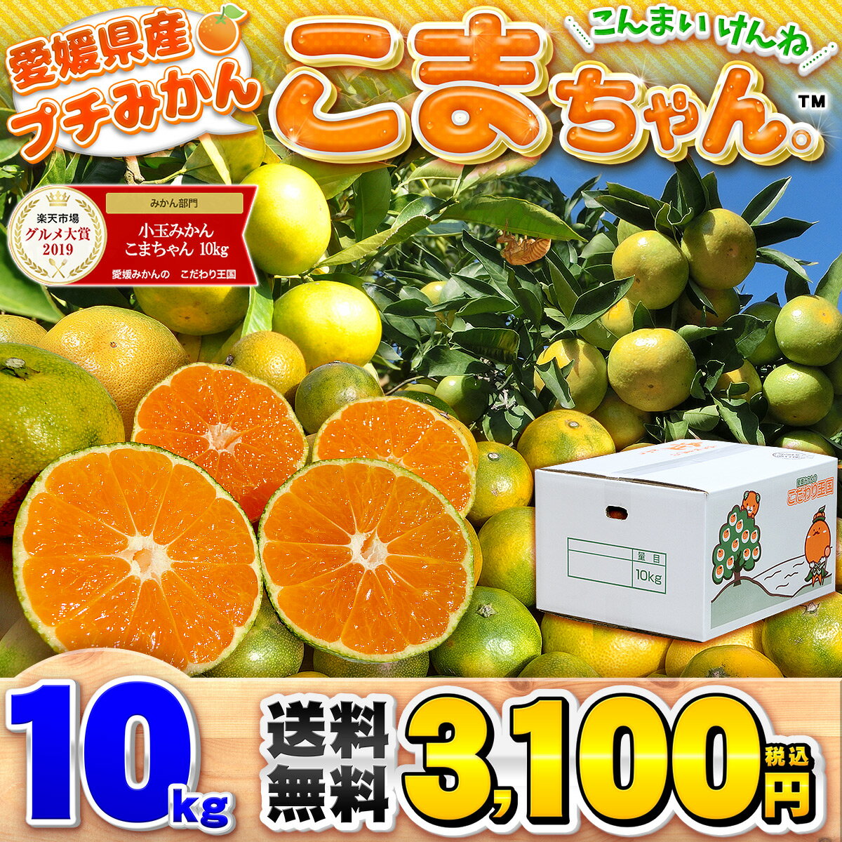 ＼グルメ大賞2019受賞／愛媛県産 小玉みかん こまちゃん 10kg ご家庭用 極早生 早生 南柑20号 送料無料 味濃い プチ みかん 10キロ 箱 買い 愛媛みかん 温州 中生 晩生 こだわり王国