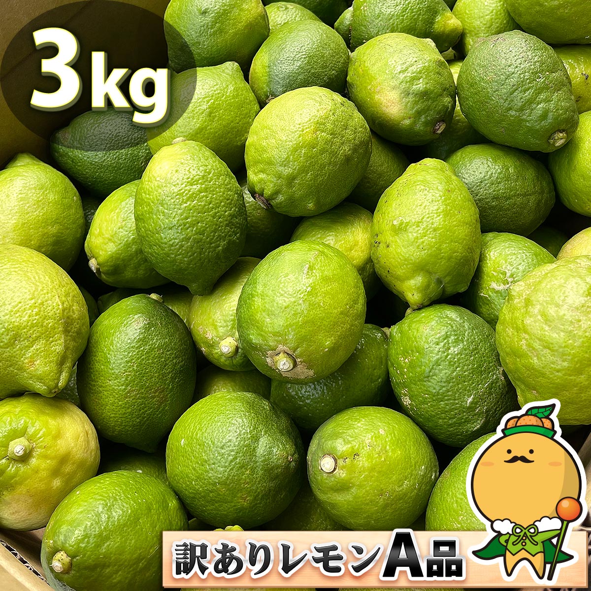 愛媛県産 訳あり レモン A品 3kg 国産 大きさ おまかせ 不揃い サイズ 不選別 家庭用 防カビ剤 防腐剤 ワックス 不使用 宇和島 檸檬 lemon キズ 汚れ 自宅用 箱買い 業務 レモン酢 塩レモン 皮 ピール 天然 果汁 100% ジュース チューハイ カクテル に最適 ビタミンC 3キロのサムネイル