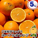 愛媛県産 ミックス ネーブル オレンジ 5kg ご家庭用 サイズ込み 【送料無料※北海道・沖縄県は除く】 完熟 高糖度 自宅用 5キロ 箱買い