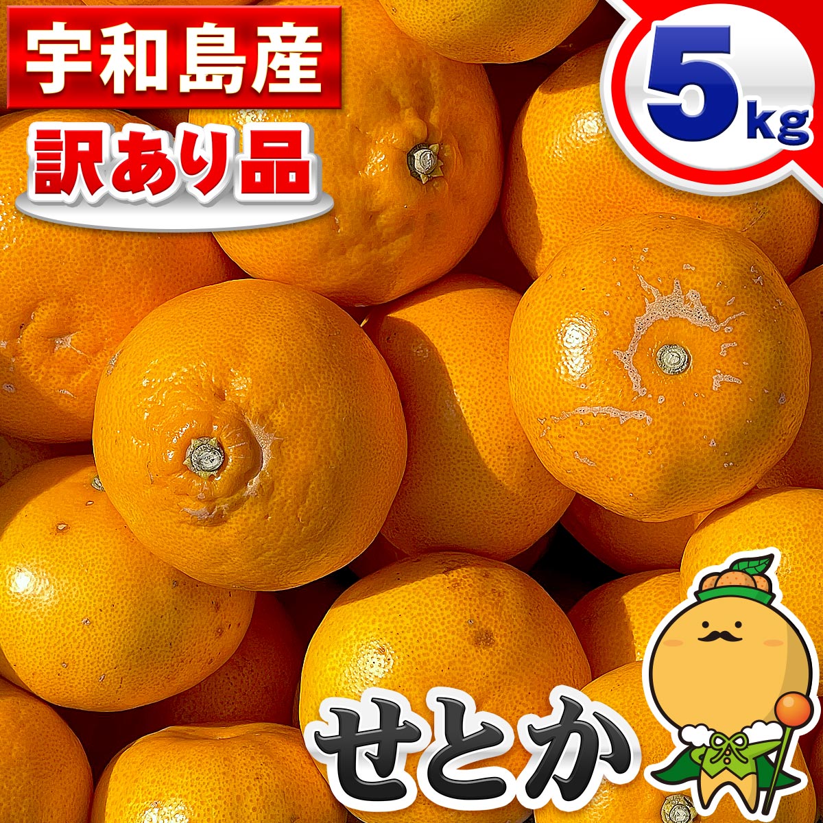 愛媛県産 訳あり せとか 5kg 宇和島産 【送料無料※一部地域を除く】 5キロ 箱買い...