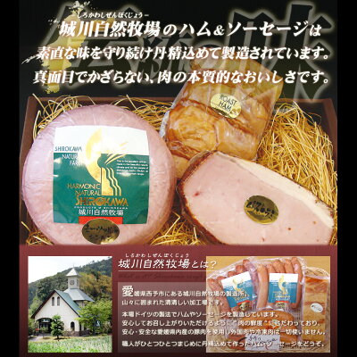 【 城川自然牧場】ウィンナーセット 人気のウィンナー詰め合わせ - Image 2