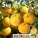 愛媛 県産 柚子 ゆず 5kg...