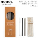 『mana. マナ タピオカステンレス製ストロー ブラック』【ステンレス ストロー 極太 エコ タピオカ スムージー シェイク 専用ブラシ ケース付】