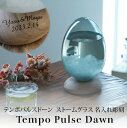 名入れストームグラス 【名入れ彫刻】　テンポパルスドーン　ストームグラス　ウォルナット　Tempo Pulse Dawn　100percent　グレー 北欧 インテリア アンティーク オブジェ 置物 飾り 結晶 おしゃれ 雑貨 ガラス デザイン プレゼント 記念 開店祝い 引越祝い 誕生日 結婚祝い ギフト