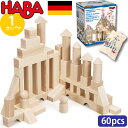 HABA ハバ ブロックス スターターセット 大 積木 ドイツ 1歳 ブラザージョルダン 積み木 知育玩具 男の子、女の子の出産祝いやハーフバースデー、1歳・2...