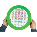 一歩社 はじめしゃ おもしろモザイクレンズ〜一歩社(はじめしゃ)の子どもたちに科学・理科に興味をいだかせる安全素材のミラーやレンズ。たくさんの枠になっている複眼...