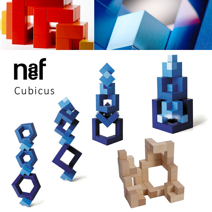 Naef ネフ社 キュービックス Cubicus〜ペア・クラーセンがデザインし、1968年に発表されたスイス・Naef（ネフ社）を代表する積み木「キュービックス」です。(NAF-210) 2
