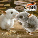 KOESEN ケーセン社 ねずみ~ドイツ・KOESEN/KOSEN(ケーセン社)の動物のぬいぐるみ。愛らしい表情のネズミのぬいぐるみです。出産祝い クリスマス プレゼント 結婚記念日 出産したママへのご褒美にもおすすめ(KSN-K32)