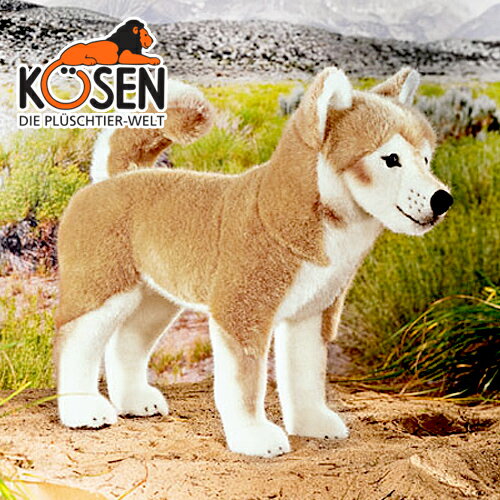 KOESEN ケーセン社 柴犬 (大) 6590〜ドイツ・KOESEN/KOSEN（ケーセン社）の動物のぬいぐるみ。愛らしい表情の犬（イヌ/いぬ）のぬいぐるみです。出産祝い クリスマス プレゼント 結婚記念日 出産したママへのご褒美にもおすすめ