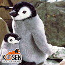 KOESEN ケーセン社 皇帝ペンギンの子 3650〜ドイツ・KOESEN/KOSEN（ケーセン社）の動物のぬいぐるみ。愛らしい表情のペンギンのぬいぐるみです。出産祝い クリスマス プレゼント 結婚記念日 出産したママへのご褒美にもおすすめ