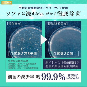 25日は店内商品ポイント最大20倍 ソファベッド ベッド ソファ スイミーPlus レギュラー ロータイプ ベージュ スイミー 抗菌 銀イオン フランスベッド 送料無料