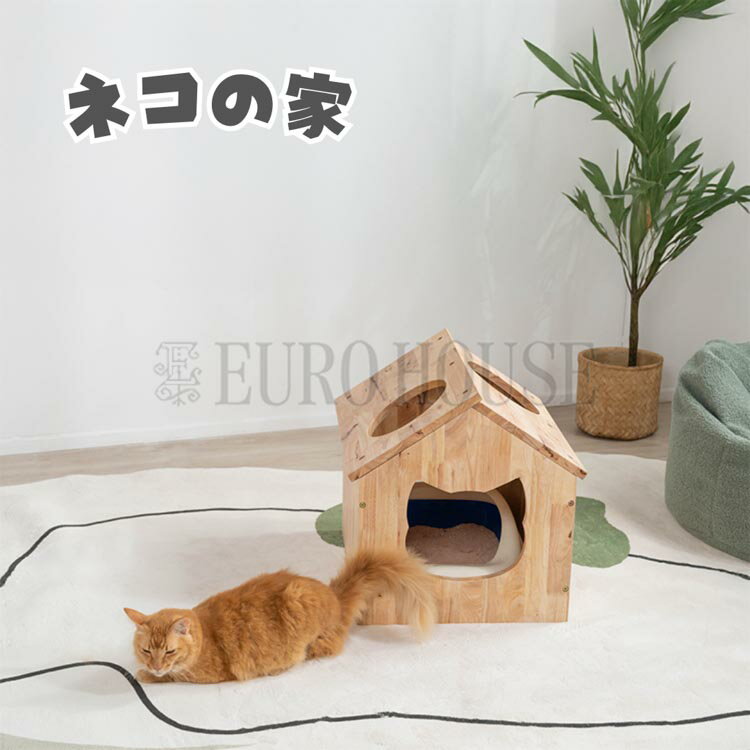 BLACKFRIDAYŹ⾦P20ܡ̵ۥͥβȡʥåȥϥ ڥåȤȰ˳ڤ餷 Ω ץ 餷  ӥ ...