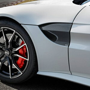 STARTECH スターテック フェンダー エアインサート カーボン Aston Martin Vantage アストンマーチン ヴァンテージ 2019年 〜