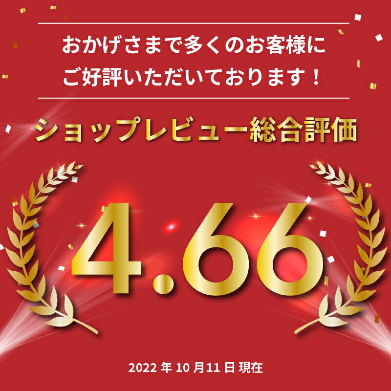 [キャンペーン商品] 手動アイロンプレス機 シンプルプレス Plum プラム PHT-0611 66×111mm アイロンプレス機 昇華転写 | カッティング シルクスクリーン 簡単 家庭用 小型 コンパクト オリジナルグッズ はじめて 趣味 小さい ミニアイロン [2024年6月28日ご注文分まで] 2