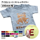 ストレッチミラー RSZ 195mm×10mロール カッティング用アイロンシート RSZ-S | 箔 薄い 高級感 メタリック 綿 ポリエステル アイロン シート アイロンプリント ラバーシート Tシャツプリント オリジナルウェア 作成 オリジナル