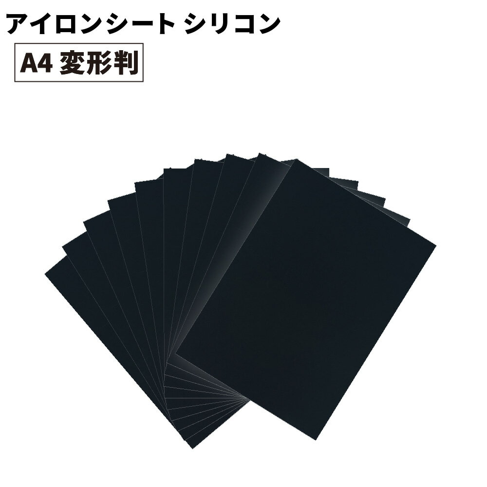 ꥳ RSC [A4ѷȽ (195mm300mm) 1/10] åƥѥ󥷡 A4-RSC | åƥѥ...