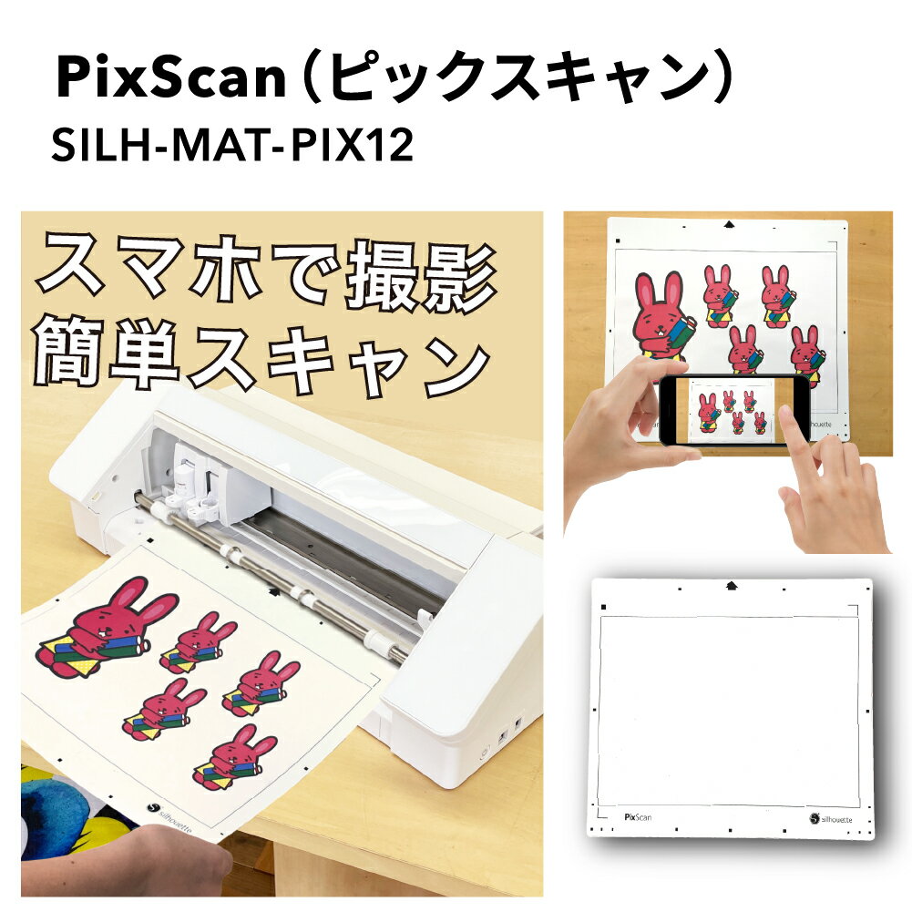 PixScan(ピックスキャン)用台紙 12イ...の紹介画像2