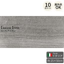外床タイル ルッカ アイアン 250×500mm イタリア製 10枚セット（約1.25平米） 磁器質割肌石目調タイル 石調 石風 イ…