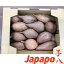 ママ割エントリーでポイント3倍【芋八Japapo正規販売店】安納芋 鹿児島県産さつまいもSサイズ1.5kg箱 あんのういも(店頭販売の焼き芋をご自宅で。スウィートポテト、やきいも)