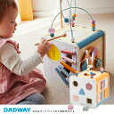 ダッドウェイ（DADWAY）PolarB 8イン1アクティビティボックス（ポーラB）赤ちゃん・おもちゃ・出産祝い・知育玩具／TYPR44098
