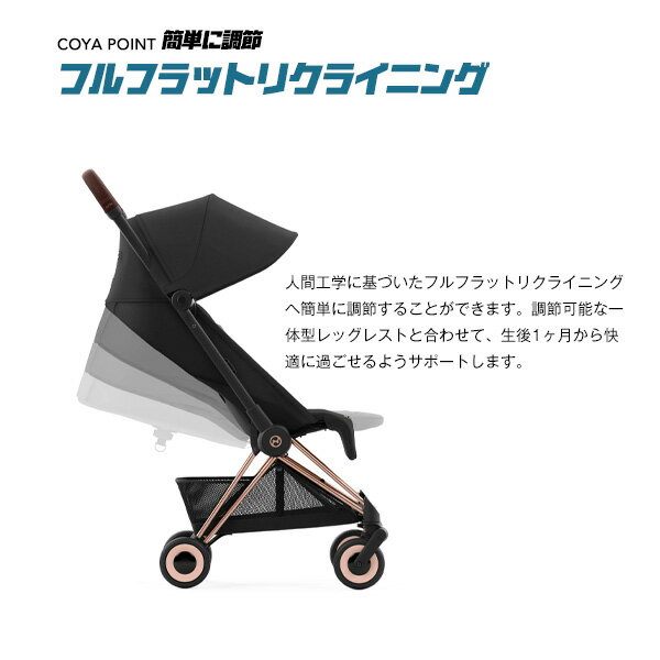 【2年保証】 【正規品】 bugaboo バガブー フォックス3 ブリージーサンキャノピー ベビーカー アクセサリー 正規品