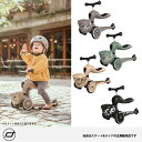 【安心の2年保証】(カーサリッチ/スクート&ライド正規販売店)スクート&ライドハイウェイキック1ライフスタイル/三輪車・キックボード・ハイウェイキック1LS(3)