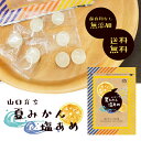 ★期間限定1200円→1050円~★夏みかん塩飴 熱中対策 塩飴 釜焚海水塩 萩の塩 使用 塩分補給 塩分チャージ 暑さ対策 ビタミン・ミネラル豊富 手軽に塩分補給 保存料無し 無添加 塩分・クエン酸・糖分 バランスよく配合 個包装 2袋~5袋 夏 屋外作業 スポーツ おすすめ 人気
