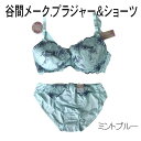 ブラジャー&ショーツセット ブラショー 谷間メーク 大きいサイズ パット付きブラショー E85/LL.F75/L.F85/LL