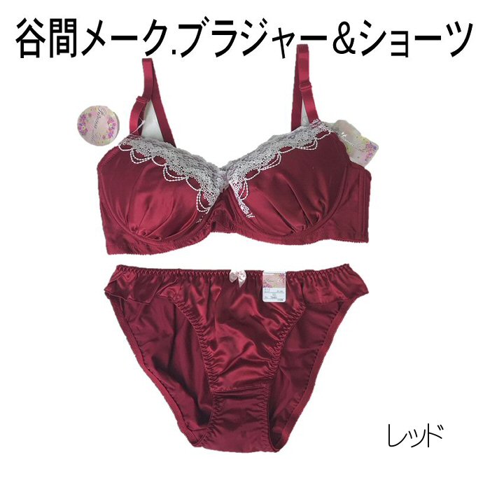 ブラジャー&ショーツセット ブラショー 谷間メーク 大きいサイズ パット付きブラシ...