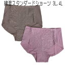 【綿混 スタンダードショーツ.大きいサイズ】 ■サイズ■ 3L　ヒップ102〜110 4L　ヒップ107〜115 ■定価■ 1.280円 ■カラー■ ピンク・モカ ■素材■ 綿　95% ポリウレタン　5% クロッチ部分：綿100% レース部分：ナイロン・ポリウレタン 中国製 ■コメント■ ぽっこりお腹をスッキリ！大きいショーツ 履きこみ丈（股上）深めで、 足口ゆったりショーツ。 毎日着けたいロングセラーのお尻すっぽり包み込むショーツ！ フロント部分は、表にレースと、裏に同素材を補強して、 お腹を押さえて、気になる下腹をサポート。 肌に優しい綿素材で、ソフトにフィット。 マチ幅広めで、クロッチ部分は、綿100％生地を使用しています。 綿素材で優しい肌触りです♪ 伸びがよく動きやすいのも特徴です。商品詳細・スペック【綿混 スタンダードショーツ.大きいサイズ】 ■サイズ■ 3L　ヒップ102〜110 4L　ヒップ107〜115 ■定価■ 1.280円 ■カラー■ ピンク・モカ ■素材■ 綿　95% ポリウレタン　5% クロッチ部分：綿100% レース部分：ナイロン・ポリウレタン 中国製 ■コメント■ ぽっこりお腹をスッキリ！大きいショーツ 履きこみ丈（股上）深めで、 足口ゆったりショーツ。 毎日着けたいロングセラーのお尻すっぽり包み込むショーツ！ フロント部分は、表にレースと、裏に同素材を補強して、 お腹を押さえて、気になる下腹をサポート。 肌に優しい綿素材で、ソフトにフィット。 マチ幅広めで、クロッチ部分は、綿100％生地を使用しています。 綿素材で優しい肌触りです♪ 伸びがよく動きやすいのも特徴です。