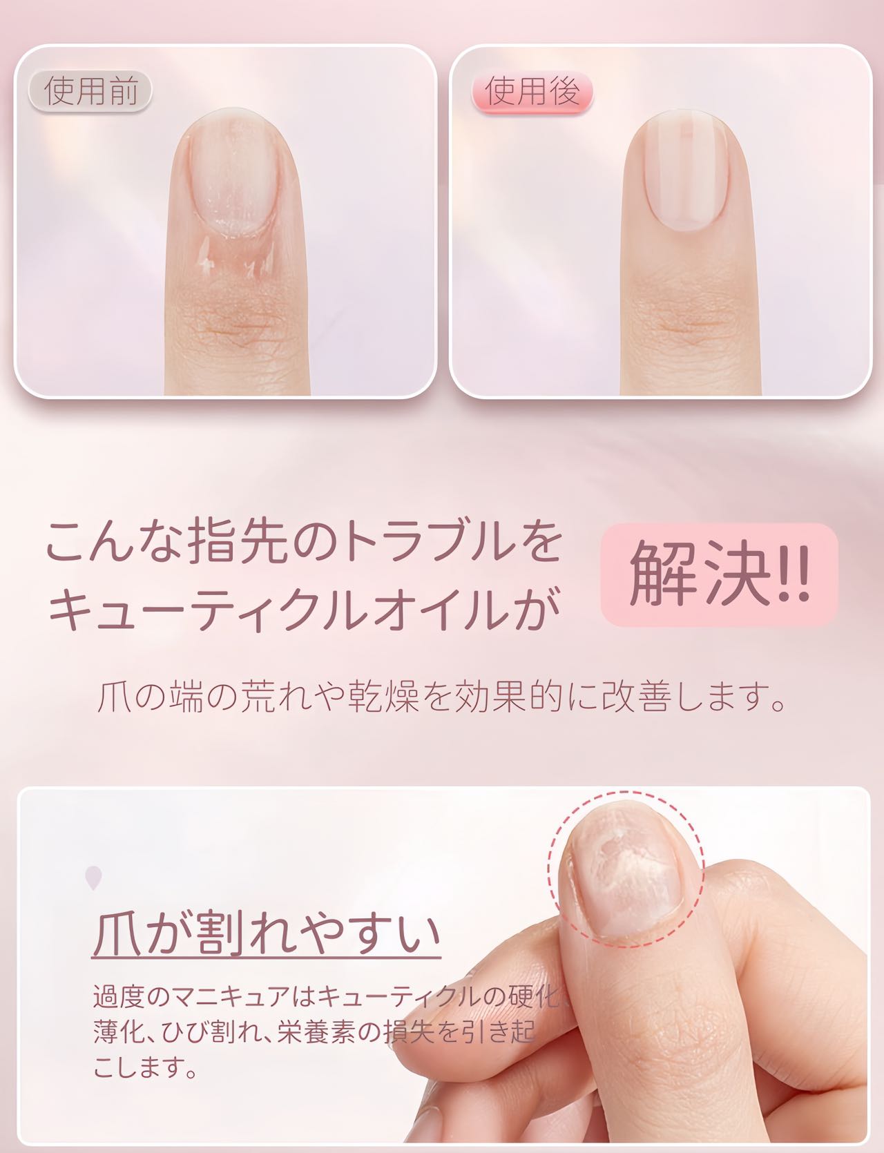 ��2/4 20:00~10%OFF��������ͥ���ͥ��륪���� ���塼�ƥ����륪���� �ͥ��륱�� �� �ڥ󥿥��� �ڥ� ���塼�ƥ����� �������� �� ���Ʊ� �佤 �ͥ��봥�� ���� ���դ� ϳ��ʤ� �ץ쥼��� ������� �ͥ����ݼ�