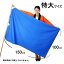 色旗 特大 150cm×100cm/ 動画有 /メール便可 3,190円