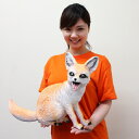 生物フィギュア　キタキツネ　38cm 【商品番号】No.21049 【商品説明】メガサイズのキタきつねの人形・フィギアです。 【大きさ】体長50×高さ38cm 【素材】ラテックス・ウレタン