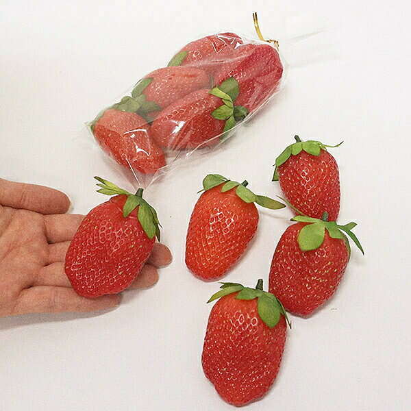 リアル いちご（色鮮やか）　約5cm 10個