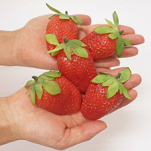 リアル いちご（色鮮やか）　約5cm 10個
